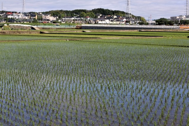 田園風景