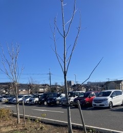 タイムズ鶴間公園